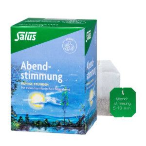 ABENDSTIMMUNG Kräutertee Salus Filterbeutel