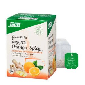 INGWER ORANGE Spicy Tee Salus Filterbeutel